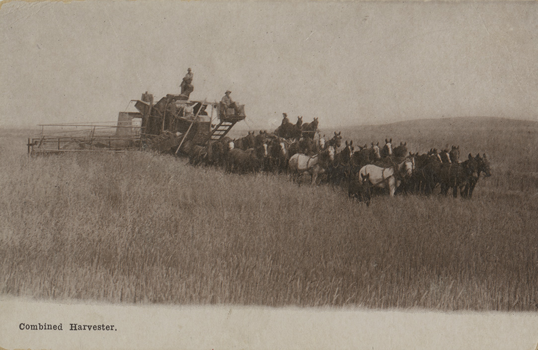 Combined harvester.